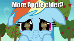 Size: 1920x1080 | Tagged: safe, edit, edited screencap, screencap, applejack, rainbow dash, g4, grannies gone wild, apple, apple tree, caption, cider, cute, daaaaaaaaaaaw, dashabetes, eye reflection, floppy ears, food, hnnng, meme, reflection, tree, wavy mouth