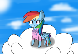 Size: 3202x2232 | Tagged: safe, artist:artiks, rainbow dash, pegasus, pony, g4, clothes, female, high res, shirt, sky, solo