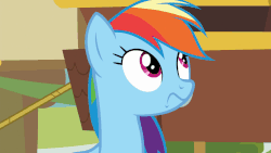 Size: 902x508 | Tagged: safe, screencap, rainbow dash, pony, grannies gone wild, animated, faic, female, frustrated, gif, hair pulling, rainbow dash is best facemaker, rainbowsnap, solo, tugging