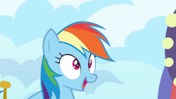 Size: 902x508 | Tagged: safe, screencap, rainbow dash, pony, g4, grannies gone wild, animated, faic, female, gif, happy, rainbow dash is best facemaker, solo