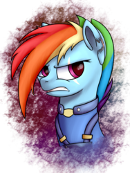 Size: 1024x1359 | Tagged: safe, artist:equestrian-downfall, rainbow dash, pony, g4, alternate timeline, apocalypse dash, bust, crystal war timeline, female, scar, simple background, solo, torn ear, transparent background