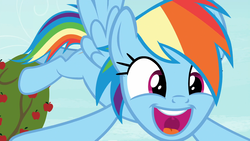 Size: 1920x1080 | Tagged: safe, screencap, rainbow dash, pegasus, pony, g4, grannies gone wild, female, mare, solo