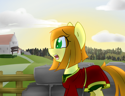 Size: 3500x2700 | Tagged: safe, artist:spheedc, oc, oc only, oc:sweet corn, earth pony, pony, clothes, cloud, digital art, female, fence, forest, high res, house, mare, medieval, sky, solo, sunrise