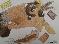 Size: 4128x3096 | Tagged: safe, artist:animekaren94, oc, oc only, oc:chocolate feather, pegasus, pony, chocolate, feather, female, food, mare, solo, traditional art