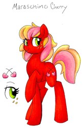 Size: 920x1411 | Tagged: safe, artist:pitterpaint, oc, oc only, oc:maraschino cherry, earth pony, pony, female, freckles, mare, offspring, parent:big macintosh, parent:cheerilee, parents:cheerimac, simple background, solo, white background