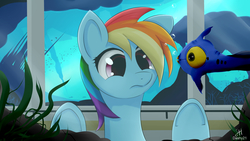 Size: 3840x2160 | Tagged: safe, artist:dashy21, rainbow dash, peeper (subnautica), pegasus, pony, g4, against glass, crossover, female, glass, habitat, hair over one eye, high res, looking at something, mare, signature, solo, subnautica, underhoof, underwater, video game crossover