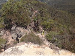 Size: 1024x771 | Tagged: safe, artist:didgereethebrony, daring do, pony, g4, australia, blue mountains, eucalyptus, irl, mlp in australia, photo, ponies in real life, sandstone, solo, trail, tree
