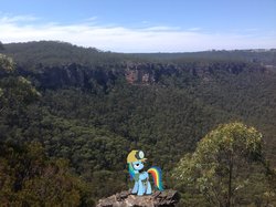 Size: 1024x765 | Tagged: safe, artist:didgereethebrony, rainbow dash, pony, g4, australia, blue mountains, irl, megalong valley, mlp in australia, photo, ponies in real life, solo, valley