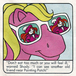 Size: 318x318 | Tagged: safe, official comic, shady, pony, comic:my little pony (g1), g1, official, shady and the snow dragon, face, faic, hoers, jack frost, out of context, reflection, smiling, sunglasses, warning, why the long face