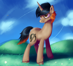 Size: 1024x925 | Tagged: safe, artist:drstaticstalker, oc, pony, unicorn, drstaticstalker