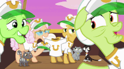 Size: 600x338 | Tagged: safe, screencap, apple rose, auntie applesauce, goldie delicious, granny smith, rainbow dash, cat, pony, g4, grannies gone wild, animated, butt, female, gif, gold horseshoe gals, plot, solo