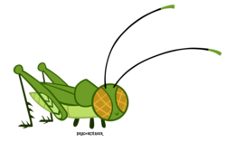 Size: 1000x626 | Tagged: safe, artist:dragonchaser123, cricket (insect), insect, g4, may the best pet win, ambiguous gender, animal, signature, simple background, smiling, solo, sports, transparent background, vector