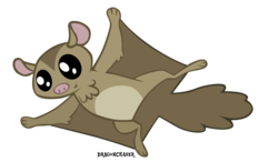 Size: 876x512 | Tagged: safe, artist:dragonchaser123, flying squirrel, squirrel, g4, may the best pet win, ambiguous gender, animal, signature, simple background, solo, transparent background, vector