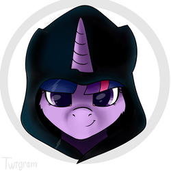 Size: 2053x2053 | Tagged: safe, artist:php97, twilight sparkle, pony, g4, female, high res, hood, solo