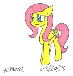 Size: 760x789 | Tagged: safe, artist:cmara, fluttershy, pony, g4, female, solo, traditional art