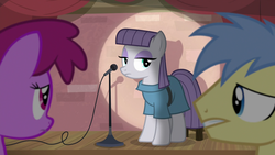 Size: 1920x1080 | Tagged: safe, screencap, berry punch, berryshine, goldengrape, maud pie, sir colton vines iii, earth pony, pony, g4, the maud couple, background pony, female, male, mare, microphone, spotlight, stallion, stand-up comedy