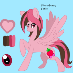 Size: 3000x3000 | Tagged: safe, artist:chelseawest, oc, oc only, oc:strawberry split, pegasus, pony, female, high res, mare, reference sheet, solo