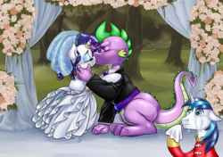 Size: 1200x846 | Tagged: safe, alternate version, artist:pia-sama, rarity, shining armor, spike, dragon, pony, unicorn, g4, bipedal, bride, clothes, crying, crying armor, dress, eyes closed, female, groom, handkerchief, hoof hold, horn, horn ring, kiss on the lips, kissing, liquid pride, male, mare, marriage, meme, older, older spike, ring, sad, sad armor, ship:sparity, shipping, stallion, straight, tissue, trio, wedding, wedding dress, wedding ring, whining, whining armor
