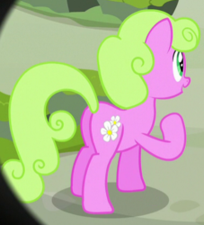 Size: 381x419 | Tagged: safe, screencap, daisy, flower wishes, g4, the maud couple, butt, cropped, plot