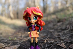 Size: 6000x4000 | Tagged: safe, artist:artofmagicpoland, sunset shimmer, equestria girls, g4, doll, equestria girls minis, female, forest, irl, photo, toy