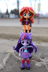 Size: 4000x6000 | Tagged: safe, artist:artofmagicpoland, sunset shimmer, twilight sparkle, equestria girls, g4, blurry background, doll, equestria girls minis, female, irl, lesbian, photo, pony ears, ship:sunsetsparkle, shipping, toy