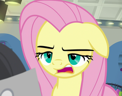 Size: 1359x1079 | Tagged: safe, screencap, fluttershy, pony, fake it 'til you make it, g4, cropped, faic, female, mare, solo