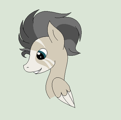 Size: 424x420 | Tagged: safe, artist:roseloverofpastels, oc, oc only, hybrid, pony, zony, bust, male, portrait, simple background, solo, stallion