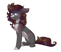 Size: 1200x1012 | Tagged: safe, artist:person8149, oc, oc only, earth pony, pony, simple background, sitting, solo, transparent background