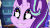 Size: 800x449 | Tagged: safe, screencap, starlight glimmer, pony, unicorn, equestria girls, equestria girls specials, g4, mirror magic, animated, blinking, cute, eye shimmer, faic, female, gif, glimmerbetes, glimmie, grin, heart eyes, hyped, mare, meme origin, smiling, solo, sparkly eyes, weapons-grade cute, wingding eyes