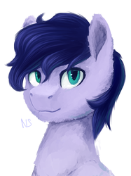 Size: 1024x1367 | Tagged: safe, artist:nightskrill, oc, oc only, earth pony, pony, bust, male, portrait, simple background, solo, stallion, white background