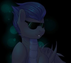 Size: 2449x2160 | Tagged: safe, artist:nightskrill, oc, oc only, dracony, hybrid, bust, high res, male, portrait, solo, sunglasses