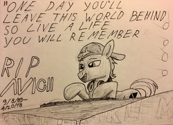Size: 4015x2899 | Tagged: safe, artist:littlenaughtypony, pony, avicii, death, ponified, rest in peace, solo, traditional art, tribute