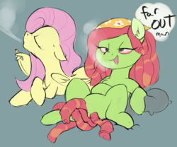 Size: 3000x2500 | Tagged: safe, artist:veesocks, fluttershy, tree hugger, earth pony, pegasus, pony, g4, 30 minute art challenge, bloodshot eyes, dialogue, dreadlocks, drugs, duo, female, flutterhigh, flutterjoint, high, high res, joint, mare, marijuana, pillow, simple background, smoke, smoking, tree stoner, wing hold, wings