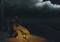 Size: 2000x1392 | Tagged: safe, artist:thelittlesnake, oc, oc only, oc:quillwright, pegasus, pony, fallout equestria, cloud, fallout equestria: of shadows, female, lantern, mare, night, pipbuck, sitting, solo
