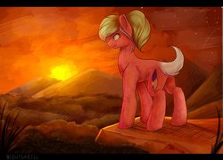 Size: 1024x732 | Tagged: safe, artist:nightskrill, oc, oc only, earth pony, pony, female, mare, solo, stars, sunset