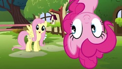 Size: 1280x720 | Tagged: safe, screencap, fluttershy, pinkie pie, earth pony, pegasus, pony, g4, happy birthday to you!, duo, female, fluttershy's cottage, in which pinkie pie forgets how to gravity, mare, netflix, pinkie being pinkie, pinkie physics, upside down, voice actor joke