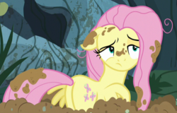 Size: 605x388 | Tagged: safe, screencap, fluttershy, pegasus, pony, a health of information, g4, butt, cropped, female, floppy ears, flutterbutt, mare, messy, messy mane, mud, plot, solo