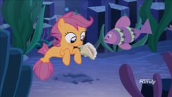 Size: 1600x900 | Tagged: safe, screencap, scootaloo, fish, pegasus, seapony (g4), g4, surf and/or turf, bubble, conch, coral, dorsal fin, female, filly, fin, fin wings, fins, fish tail, flowing mane, flowing tail, foal, horn, looking up, ocean, rock, sea-mcs, seaponified, seapony scootaloo, seaquestria, seashell, seaweed, smiling, species swap, spread wings, swimming, tail, underwater, water, wings