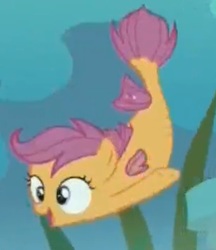 Size: 306x354 | Tagged: safe, screencap, scootaloo, fish, pegasus, seapony (g4), g4, surf and/or turf, bubble, conch, coral, cropped, dorsal fin, female, filly, fin, fin wings, fins, fish tail, flowing mane, flowing tail, foal, ocean, open mouth, open smile, rock, sea-mcs, seaponified, seapony scootaloo, seaquestria, seaweed, smiling, species swap, spread wings, swimming, tail, underwater, water, wings
