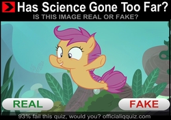 Size: 1926x1348 | Tagged: safe, edit, edited screencap, screencap, scootaloo, pegasus, seapony (g4), g4, surf and/or turf, bubble, crepuscular rays, cute, cutealoo, discovery family logo, female, fin wings, fins, fish tail, flowing mane, flowing tail, has science gone too far?, meme, ocean, real or fake, sea-mcs, seaponified, seapony scootaloo, seaweed, smiling, solo, species swap, sunlight, tail, underwater, water, wings