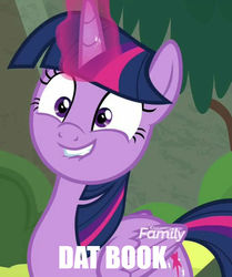 Size: 897x1073 | Tagged: safe, edit, edited screencap, screencap, twilight sparkle, alicorn, pony, g4, surf and/or turf, book, cropped, discovery family logo, faic, female, lip bite, meme, solo, text, that pony sure does love books, twilight sparkle (alicorn)