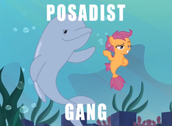 Size: 1057x777 | Tagged: safe, edit, edited screencap, screencap, scootaloo, fish, pegasus, pony, porpoise, seapony (g4), g4, surf and/or turf, bubble, coral, cute, cutealoo, dorsal fin, female, filly, fin, fin wings, fins, fish tail, flowing mane, flowing tail, foal, hoof on chest, image macro, meme, ocean, posadism, rock, sea-mcs, seaponified, seapony scootaloo, seaquestria, seaweed, smiling, solo, species swap, spread wings, swimming, tail, teeth, underwater, water, wings