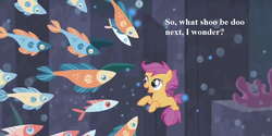 Size: 980x490 | Tagged: safe, edit, edited screencap, editor:korora, screencap, scootaloo, fish, pegasus, pony, seapony (g4), g4, surf and/or turf, bubble, conch, coral, cropped, cute, cutealoo, dorsal fin, female, filly, fin, fin wings, fins, fish tail, flowing mane, flowing tail, foal, horn, looking up, ocean, open mouth, open smile, pun, rock, school of fish, sea-mcs, seaponified, seapony scootaloo, seaquestria, seashell, seaweed, shoo be doo, smiling, species swap, spread wings, swimming, tail, text, underwater, water, wings