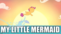 Size: 1280x720 | Tagged: safe, edit, edited screencap, screencap, scootaloo, dolphin, mermaid, seapony (g4), g4, surf and/or turf, image macro, meme, pun, sea-mcs, seaponified, seapony scootaloo, species swap, that pony sure does love being a seapony, the little mermaid