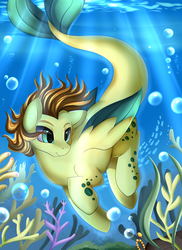 Size: 2550x3509 | Tagged: safe, artist:pridark, oc, oc only, oc:coral charm, pony, bubble, commission, high res, ocean, solo, underwater