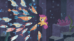 Size: 1920x1080 | Tagged: safe, screencap, scootaloo, fish, pegasus, pony, seapony (g4), g4, surf and/or turf, bubble, conch, coral, dorsal fin, female, filly, fin, fin wings, fins, fish tail, flowing mane, flowing tail, foal, horn, looking up, ocean, open mouth, open smile, rock, school of fish, sea-mcs, seaponified, seapony scootaloo, seaquestria, seashell, seaweed, smiling, species swap, spread wings, swimming, tail, underwater, water, wings