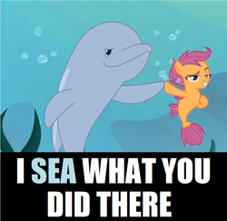 Size: 688x668 | Tagged: safe, edit, edited screencap, screencap, scootaloo, pegasus, pony, porpoise, seapony (g4), g4, surf and/or turf, bubble, dorsal fin, female, fin, fish tail, flowing mane, flowing tail, i see what you did there, image macro, meme, ocean, pun, sea-mcs, seaponified, seapony scootaloo, seaweed, species swap, tail, underwater, water