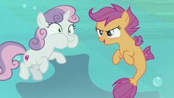 Size: 1920x1080 | Tagged: safe, screencap, scootaloo, sweetie belle, fish, pegasus, pony, seapony (g4), unicorn, g4, surf and/or turf, bubble, conch, coral, dorsal fin, duo, female, filly, fin, fin wings, fins, fish tail, flowing mane, flowing tail, foal, holding breath, it makes sense in context, ocean, puffy cheeks, rock, sea-mcs, seaponified, seapony scootaloo, seaquestria, seashell, seaweed, smiling, species swap, spread wings, swimming, tail, underwater, water, wings, your heart is in two places