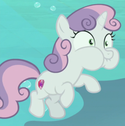 Size: 905x914 | Tagged: safe, screencap, sweetie belle, pony, g4, surf and/or turf, bubble, cropped, female, puffy cheeks, solo, underwater, your heart is in two places