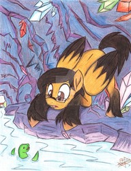 Size: 1024x1333 | Tagged: safe, artist:pollito15, oc, oc only, oc:jennifer miranda, pegasus, pony, cave, female, glasses, mare, river, solo, traditional art, two toned wings